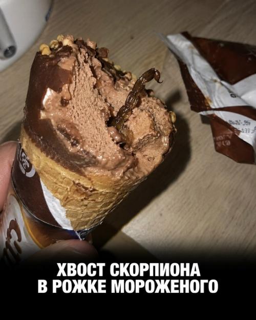 Еда иногда преподносит Находки, после которых аппетит исчезает мгновенно. 03