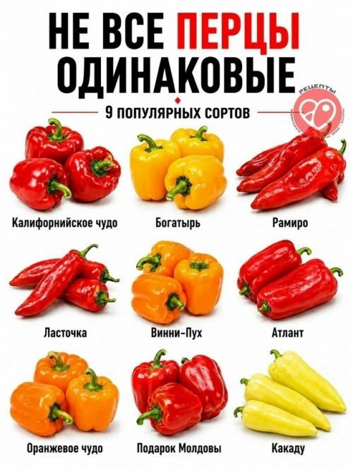 Даже привычные продукты могут заметно отличаться по плотности, сладости, сочности и текстуре. 01