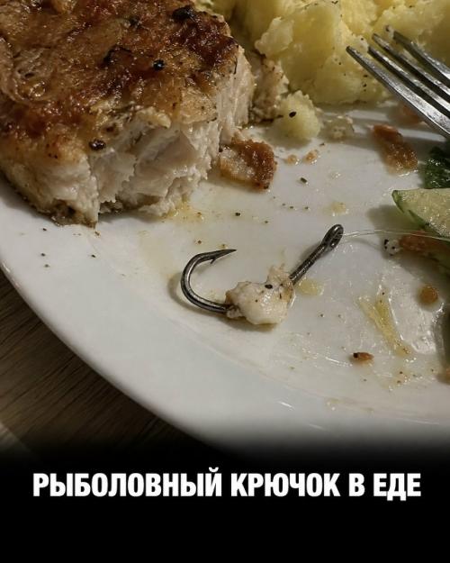 Еда иногда преподносит Находки, после которых аппетит исчезает мгновенно. 04