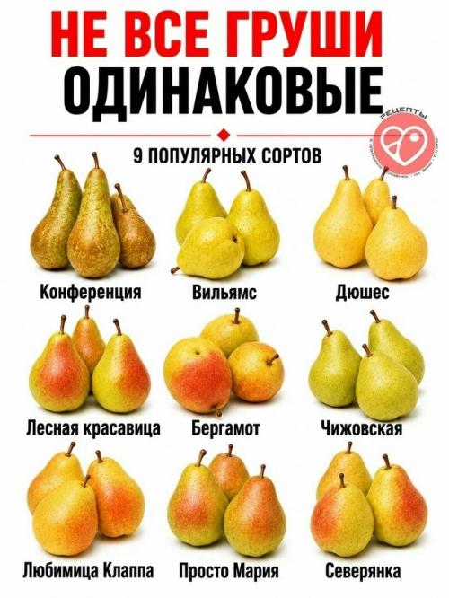 Даже привычные продукты могут заметно отличаться по плотности, сладости, сочности и текстуре. 03