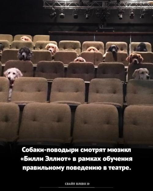 Искреннее сострадание не требует миллионов на счетах и громкого общественного признания. 07