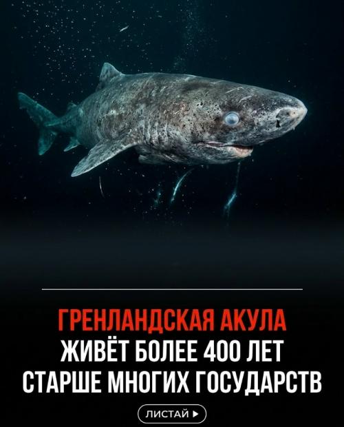Природа каждый день показывает возможности, которые сложно представить. 04
