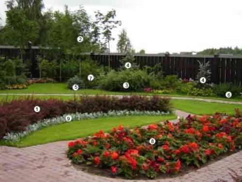 Смешанные посадки. Фото 1. 01