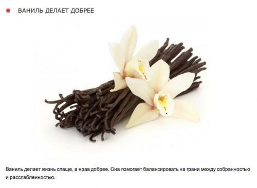 10 природных ароматов, которые меняют настроение. 04