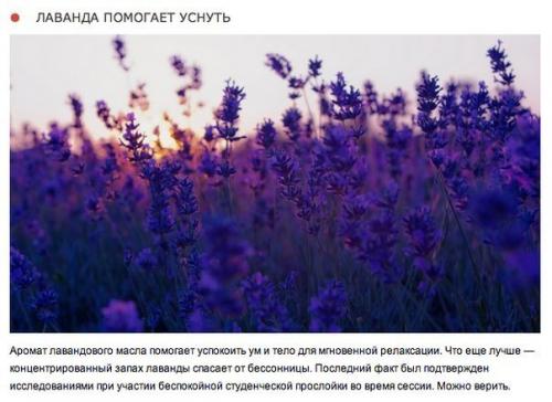 10 природных ароматов, которые меняют настроение. 07