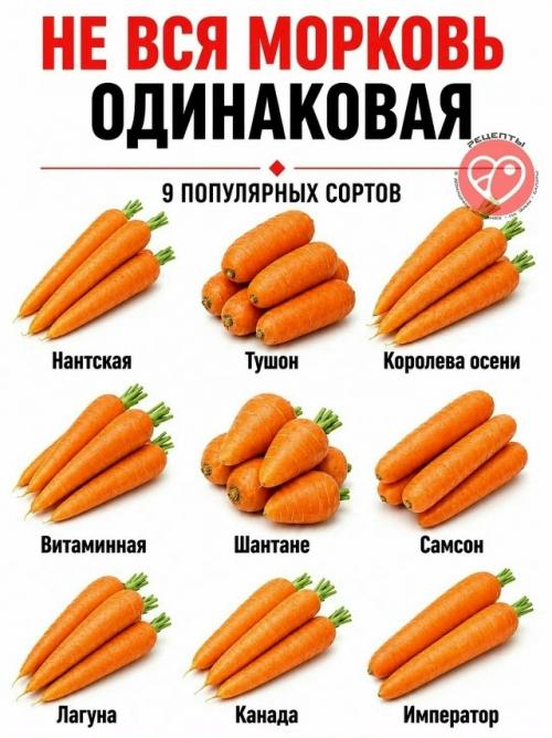 Даже привычные продукты могут заметно отличаться по плотности, сладости, сочности и текстуре. 05