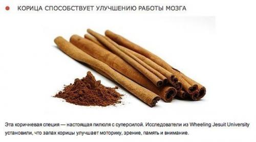 10 природных ароматов, которые меняют настроение. 03