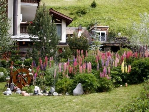 Смешанные посадки. Фото 1. 02