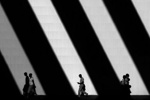 В мире призрачных теней и силуэтов. 01