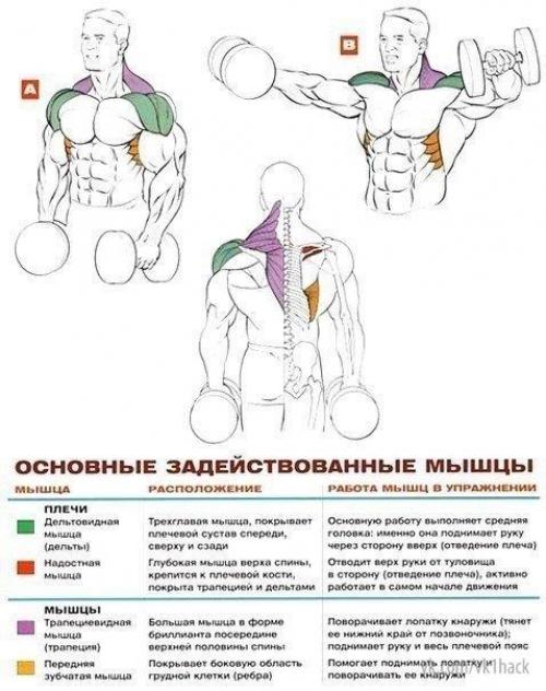 Стратегия развития больших плеч. 05 Стратегия развития больших плеч. 05