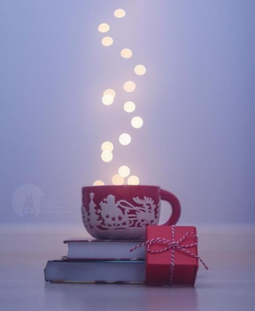 Как же не хочется прощаться волшебной новогодней атмосферой! 05