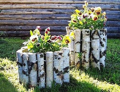 Овощи, которые стоит посадить рядом друг с другом. 03