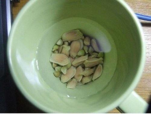 Мы выращиваем лимонное дерево дома! 01