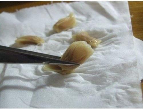 Мы выращиваем лимонное дерево дома! 02