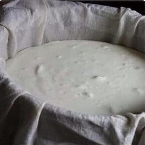 Сыр Филадельфия - мы готовим дома. 01 Сыр Филадельфия - мы готовим дома. 01