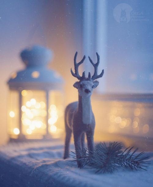 Как же не хочется прощаться волшебной новогодней атмосферой! 03