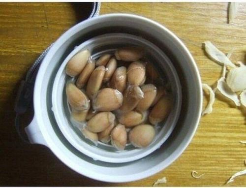 Мы выращиваем лимонное дерево дома! 03