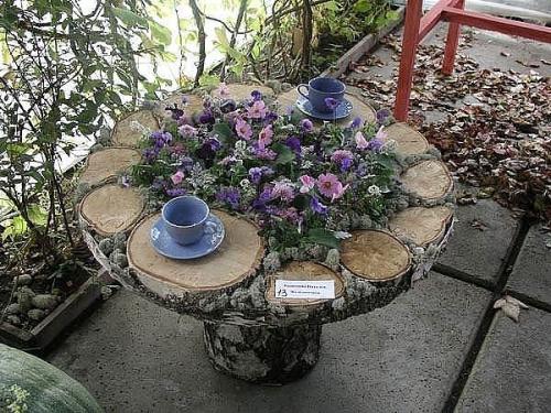 Овощи, которые стоит посадить рядом друг с другом. 02