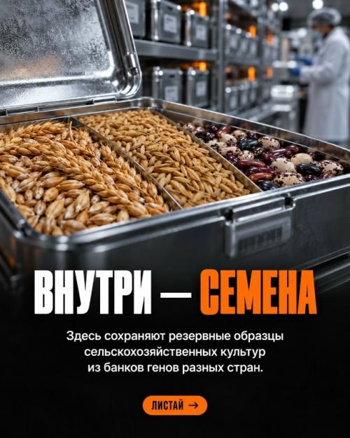 Человечество создало резервную копию урожая на случай катастрофы. 01