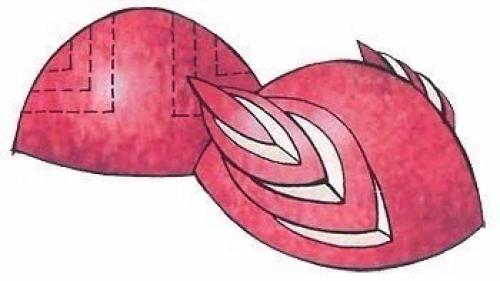 Лебедь из яблока? 01