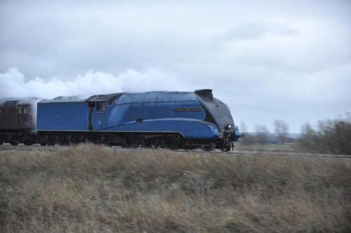 Паровоз, обогнавший время. 08