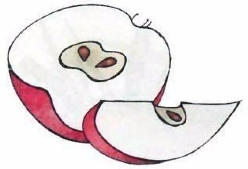 Лебедь из яблока? 02