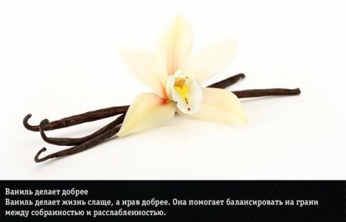 9 ароматов?  Неожиданно меняющих эмоции человека. 07