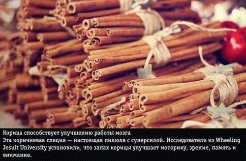 9 ароматов?  Неожиданно меняющих эмоции человека. 02