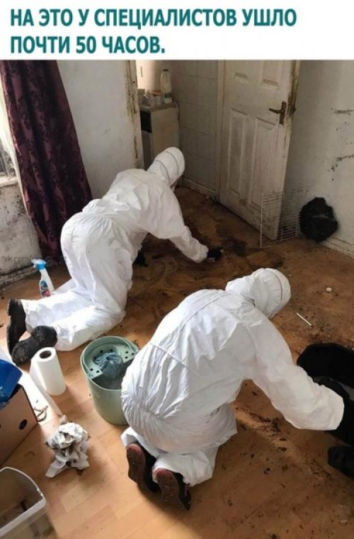 Как так можно загадить? 08