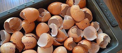 Органические подкормки. Зольная подкормка. 02