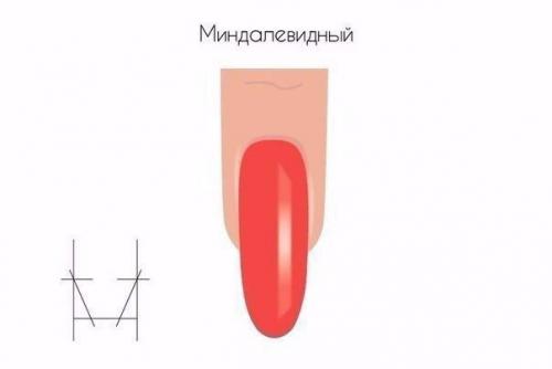 О форме ногтей! 05 О форме ногтей! 05