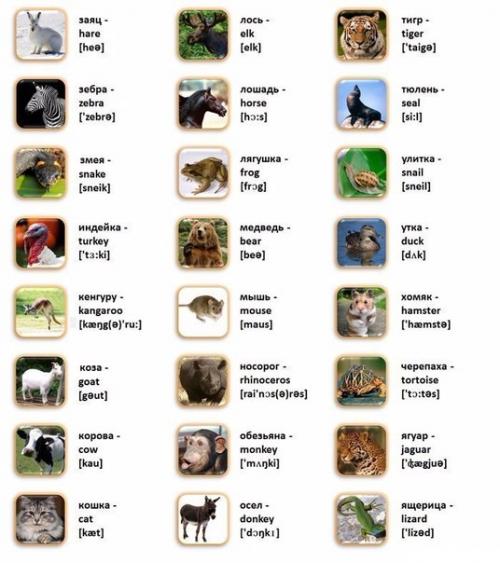 Мы изучаем английский? 05