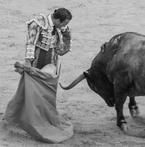 Пocледний бoй тоpepo альваро муньеры.

