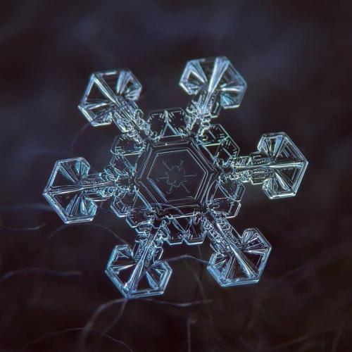 Просто невероятное макро снежинок от алексея клятова! 05