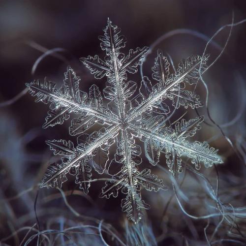 Просто невероятное макро снежинок от алексея клятова! 02