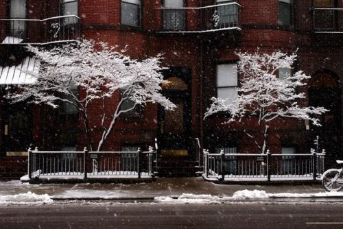 Особенности зимней фотографии, или как снимать на белом снегу. 08