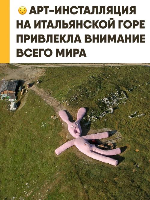В 2005 году на склоне итальянской горы коллето - фава появился 60-метровый розовый кролик. 

