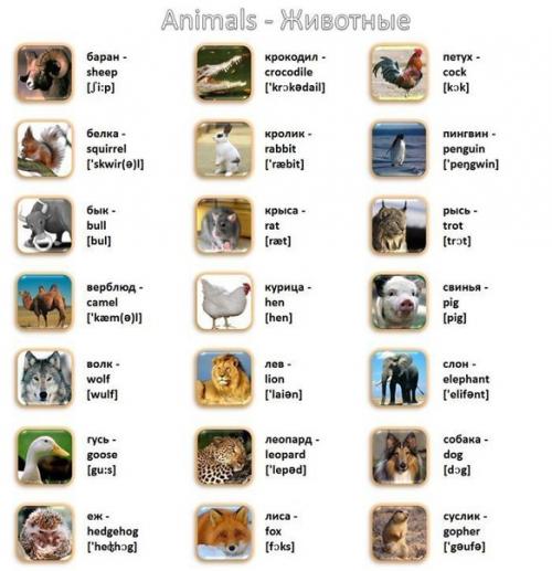 Мы изучаем английский? 02