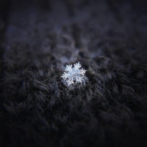 Просто невероятное макро снежинок от алексея клятова! 08