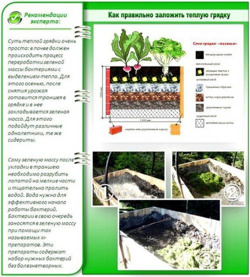 Тёплые грядки в теплицах - четыре самых популярных метода. 02