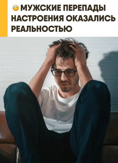 Учёные всё чаще говорят о том, что у мужчин тоже существуют гормональные колебания, которые условно называют Irritable Male Syndrome. 

