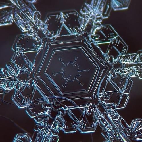 Просто невероятное макро снежинок от алексея клятова! 01