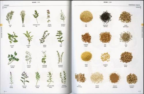 Вкусная и быстрая диета на 7 дней? 07