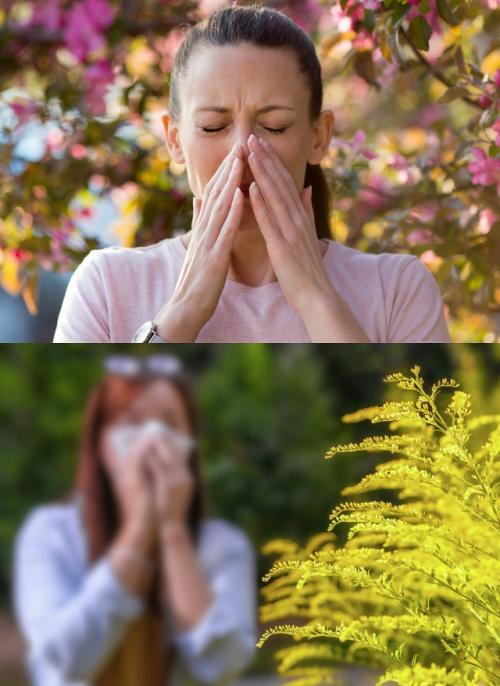 Аллергикам стоит готовиться к тяжёлому сезону пыльцы. 01
