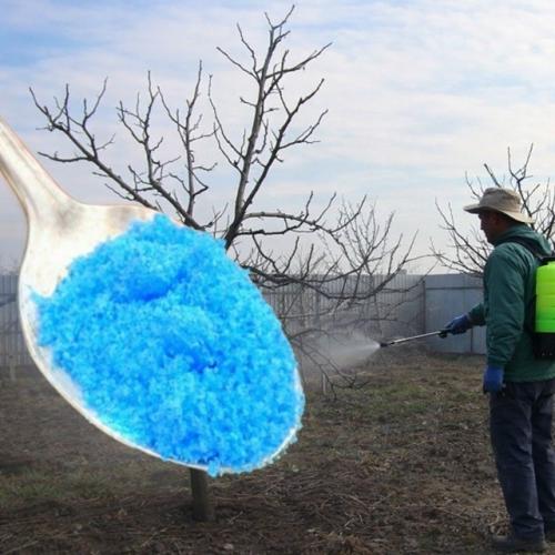 Пepвое опрыскивание сада: чем, когда и как обрабатывать деревья и кустарники.

