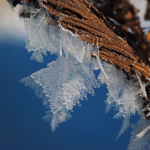 Автор: Svetlana_Kazina_Altai. 01