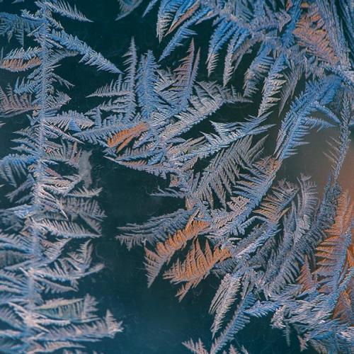 Автор: Svetlana_Kazina_Altai. 09