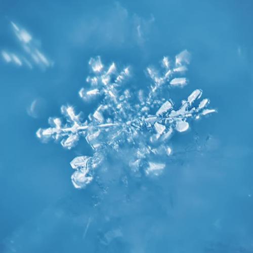 Автор: Svetlana_Kazina_Altai. 06