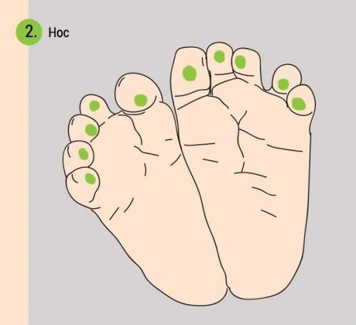 Как при помощи массажа ног успокоить плачущего младенца? 02 Как при помощи массажа ног успокоить плачущего младенца? 02