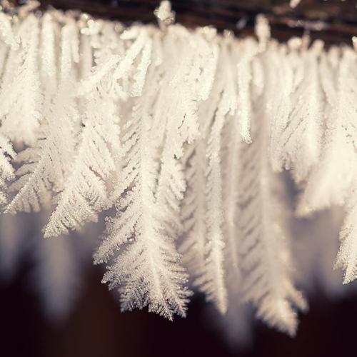 Автор: Svetlana_Kazina_Altai. 04